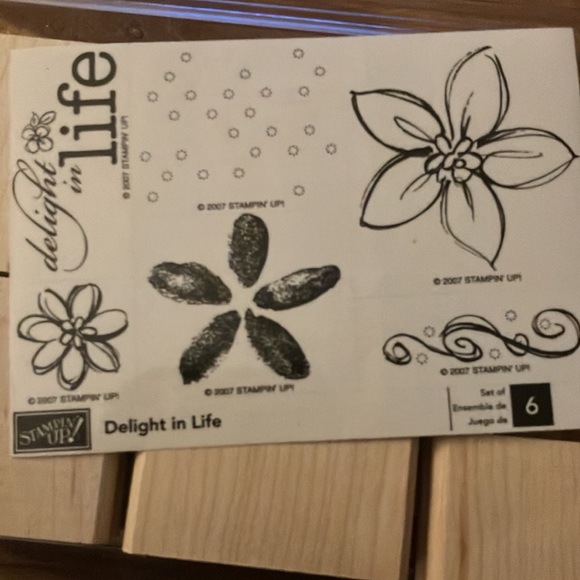 Stampin Up! “Delight in Life” stamp set. wooden blocks, new, unmounted set of 6 - Picture 4 of 4
